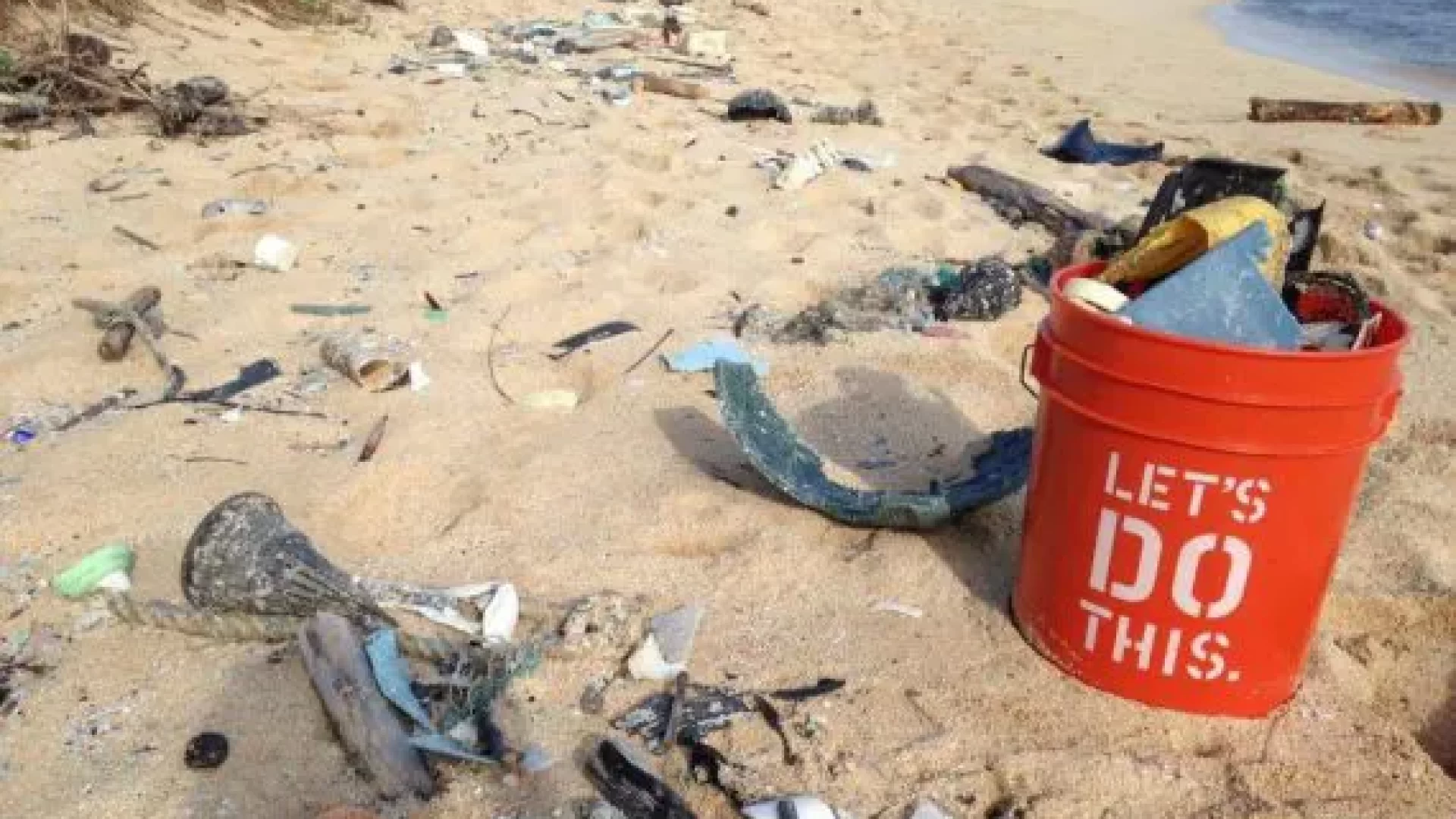 strandjutten beach cleanup duurzaam uitje teambuilding wandelen strand Egmond aan Zee